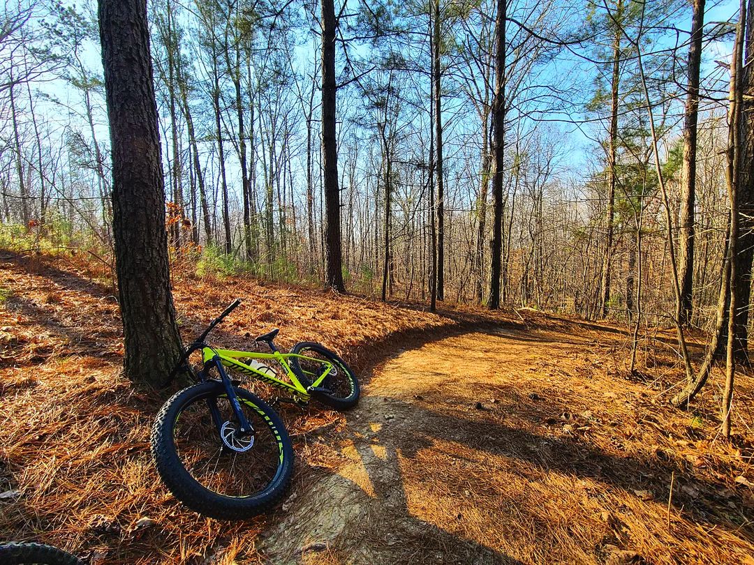 A Visitors Guide to Talking Rock Nature Preserve Bluesky Cabin Rentals